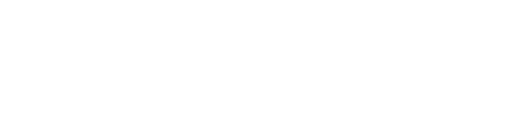 Border Advantage Logo